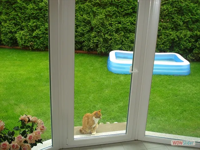Blick aus dem Fenster